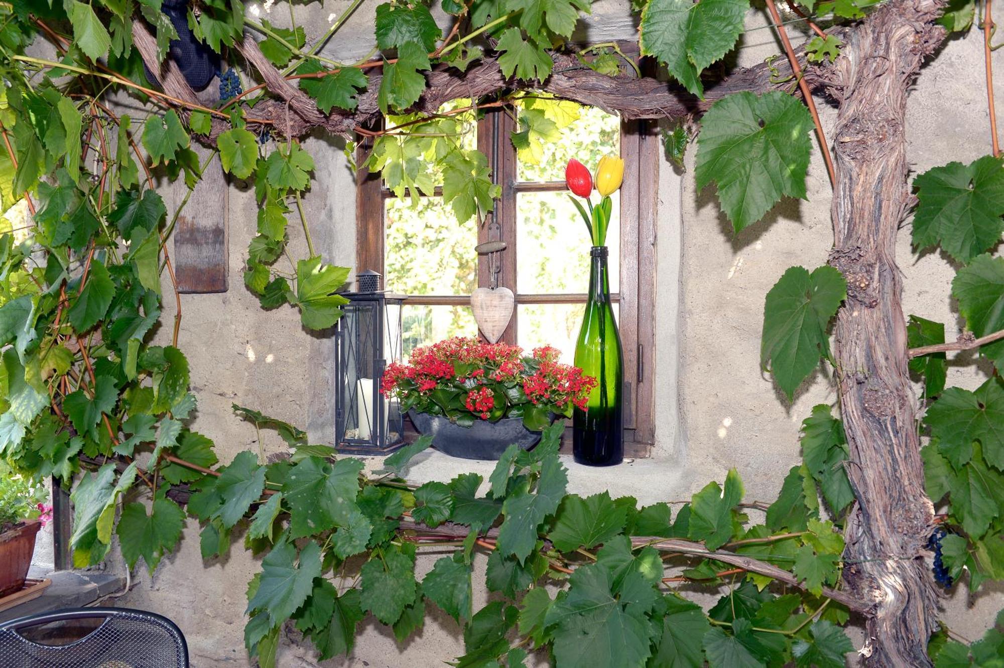 Wein- Und Gaestehaus M. Bai Mesenich Exterior photo