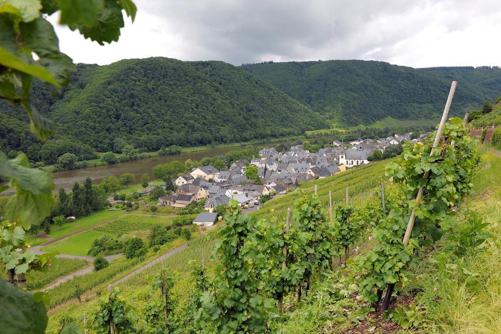 Wein- Und Gaestehaus M. Bai Mesenich Exterior photo